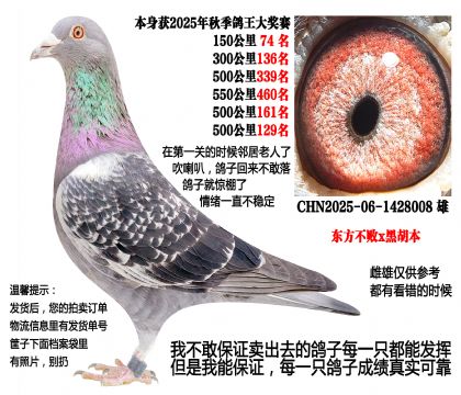 25���＾4��500����Ĺسɼ��루��������x������