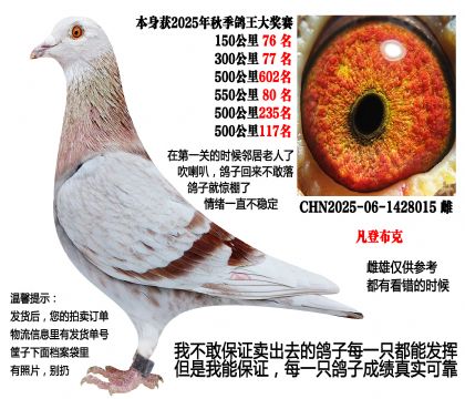 25���＾4��500����Ĺسɼ��루���ǲ��ˣ�