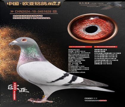 ��˹�ٷ�����ԭ��355X760