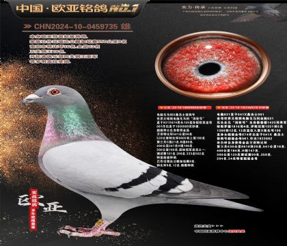 ����Xɣ��ʿֱ��989Xɣ��ʿ682��ĸ