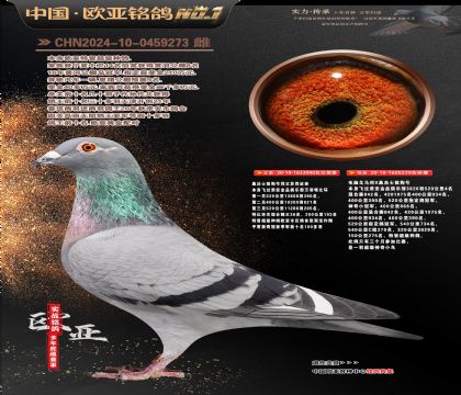 ɣ��ʿ090X����Xɣ��ʿ061ֱŮ239