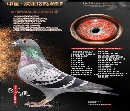 ���°���Ƹ���ŷԪ801X������ֱ��Ů061