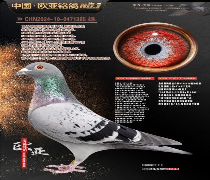 ղɭ�������Ĺڸ�������124X919ֱŮ080