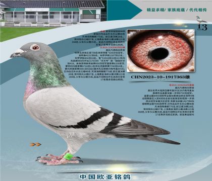 �Ǳ�ԭ�ả����082X�ʼһ�ֱŮ366