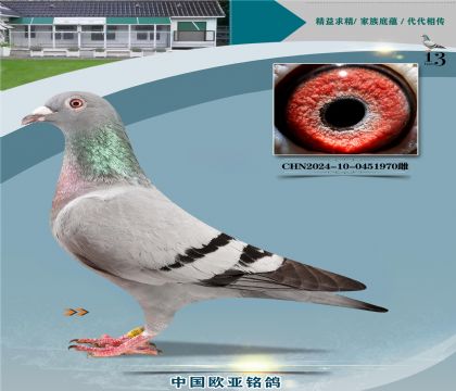 ·��˹����Ѫͳ996X777ͬ����ĸ����