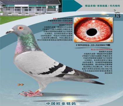 ·��˹����778X����333����