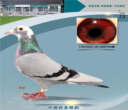 ����ɣ��ʿ�����ֹ�888Xɣ��ʿ521