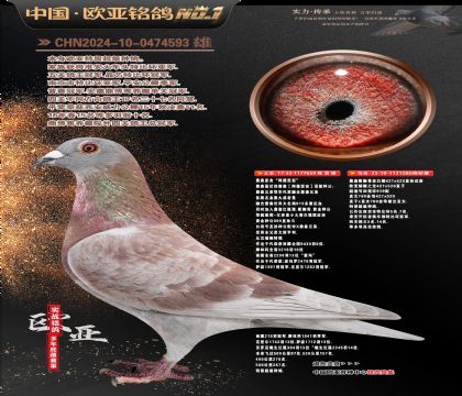 ղɭ���659X919ֱŮ080