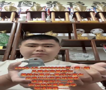 ���������ѡ�����ǲ��ˡ����ض���ֱ��X�����ض���ֱŮ