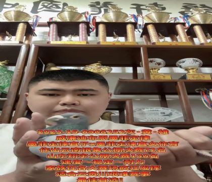 ɽ�����ǣ������ϲ�����ī�ƶ��ɡ�ֱ��X��ī�ƶ��ɡ�ֱŮ