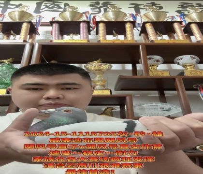 ����ӮǮ�����������ϲ�����쫷�š�ֱ��X��쫷�š�ֱŮ