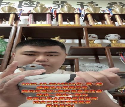 ����ӮǮ�����������ϲ�����쫷�š�ֱ��X��쫷�š�ֱŮ