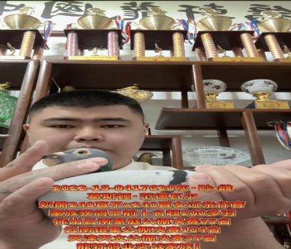 ��˹������240ֱ��X240ֱŮ��������