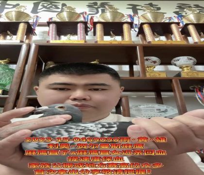 �������ٶȰ���/���º،���˹��ӥֱ��X��ӥֱŮ��Ѫ