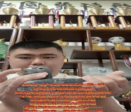 ����ӮǮ�����������������޵�ֱ��X�����Ҹ�·��ֱŮ