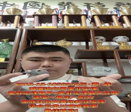 ɽ�����ǣ������ϲ�����ī�ƶ��ɡ�ֱ��X��ī�ƶ��ɡ�ֱŮ