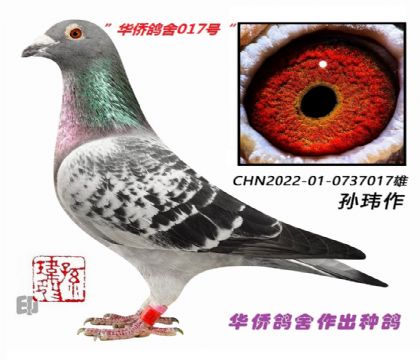 5��--ֱϵ�ɼ�:��򿪴��Ĺع鳲-0737017��