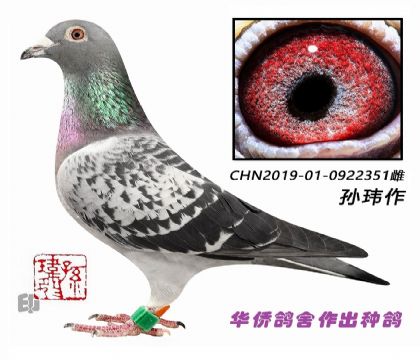 6��--���ȸ���������-0922351��