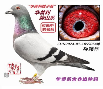 7��--����������ϵ-1059054-��