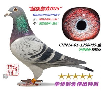 3��--��Ʒղɭ001ͬ����ĸֱ��1258005��