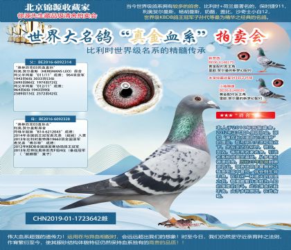 ����������314X328ֱŮ19-1723642��