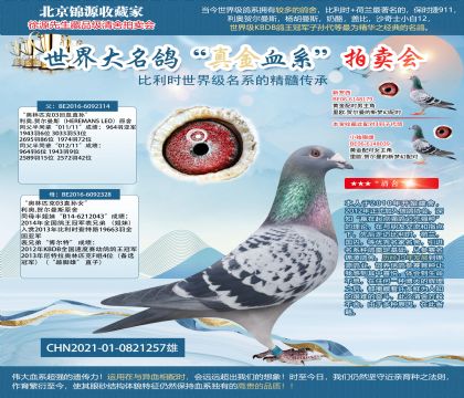 ����������314X328ֱ��21-0821257��