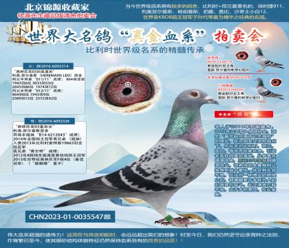 ����������314X328ֱŮ23-0035547��