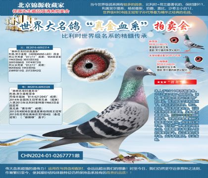 ����������314X328ֱŮ24-0267771��