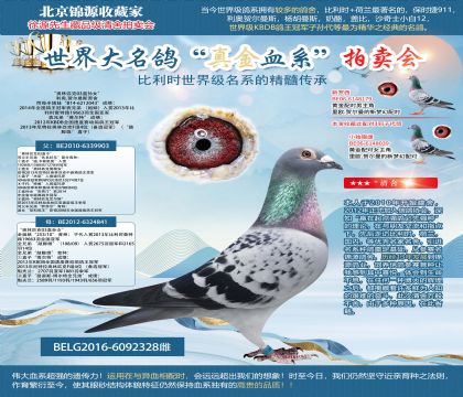 ����ԭ�ᡰ����ƥ��003ֱ��Ů��