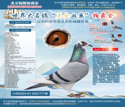 ����������703X756ֱ��24-0267777��