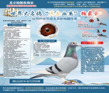 �������ղ�ԭ��-�����ض���X��ֱŮ