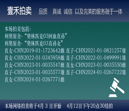 ��ǰ�����Ķ���˵��