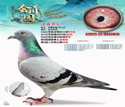 �ᴨ԰��������