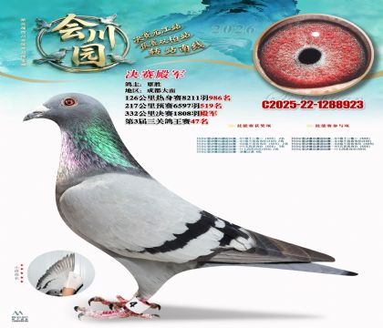 �ᴨ԰����4��