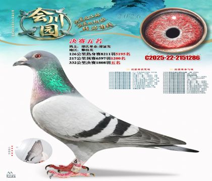 �ᴨ԰����5��