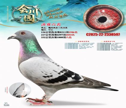 �ᴨ԰����6��