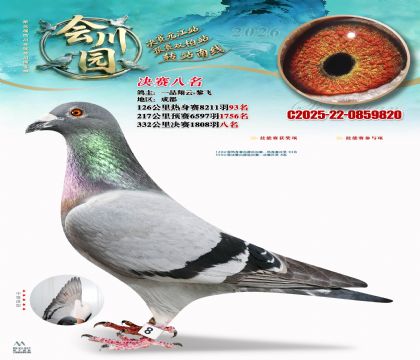 �ᴨ԰����8��