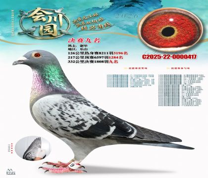 �ᴨ԰����9��