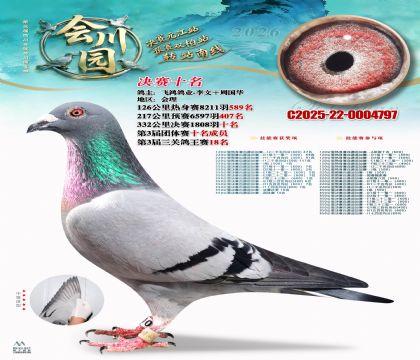 �ᴨ԰����10��