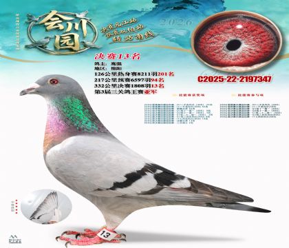 �ᴨ԰����13��