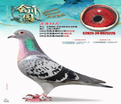 �ᴨ԰����14��