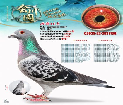 �ᴨ԰����15��