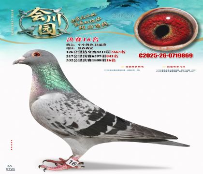 �ᴨ԰����16��