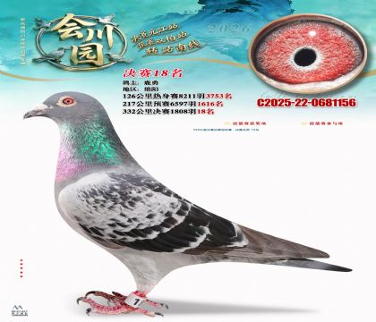 �ᴨ԰����18��