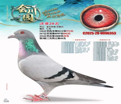 �ᴨ԰����20��