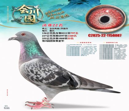 �ᴨ԰����22��