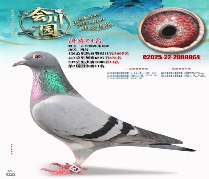 �ᴨ԰����23��