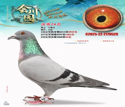 �ᴨ԰����24��