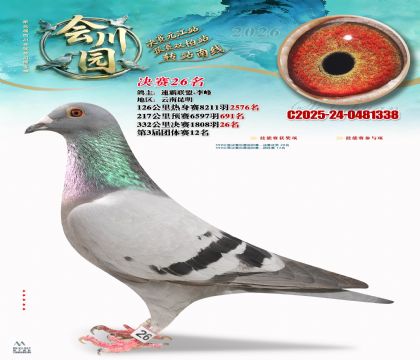 �ᴨ԰����26��