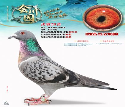 �ᴨ԰����28��